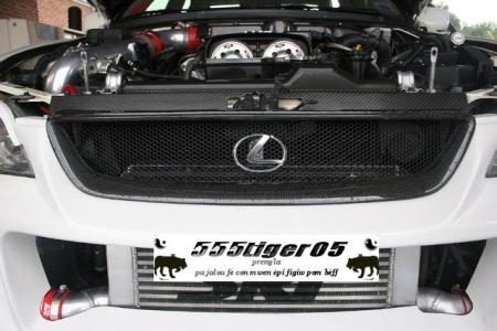 555tiger05
