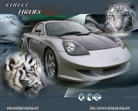 streettiger5
