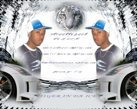 streettiger5